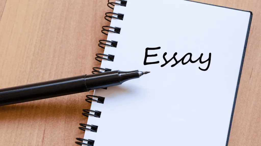 Essay Writing Service